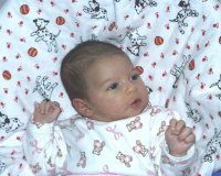 gal14.jpg (12301 bytes)